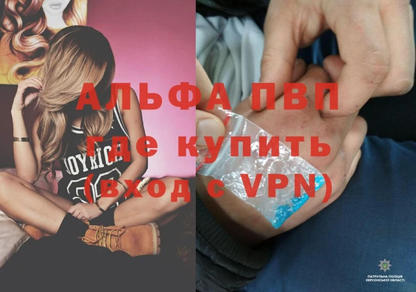 дживик Алексин