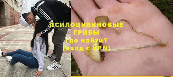 дживик Алексин